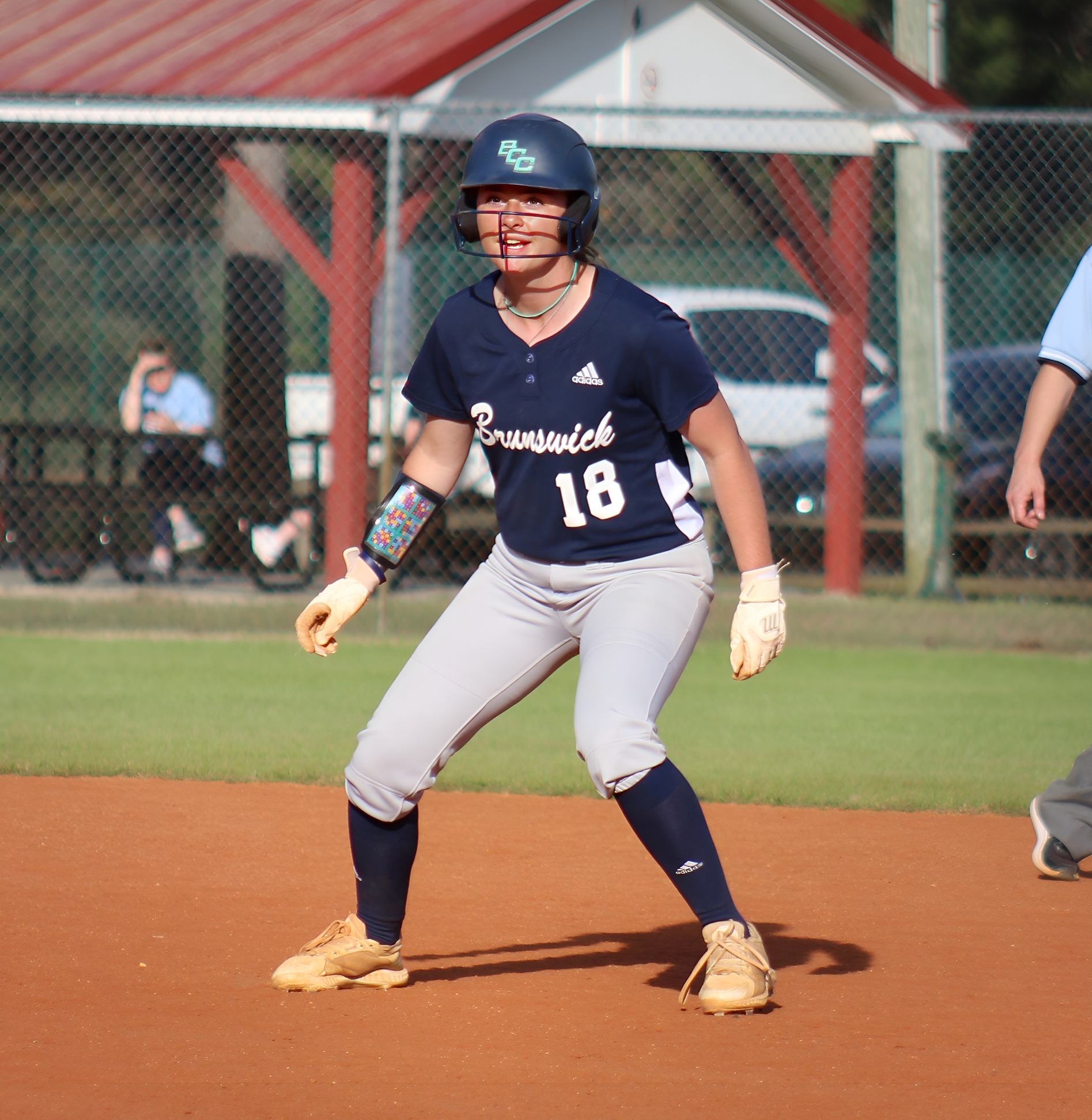 Dolphins Drop two games to ranked opponent #8 Louisburg